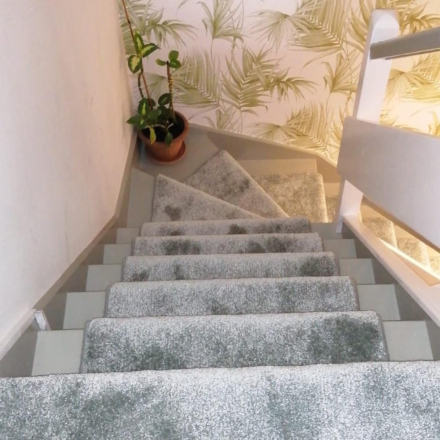 Silver grey carpet up a staircase beside palm-leaf wallpaper