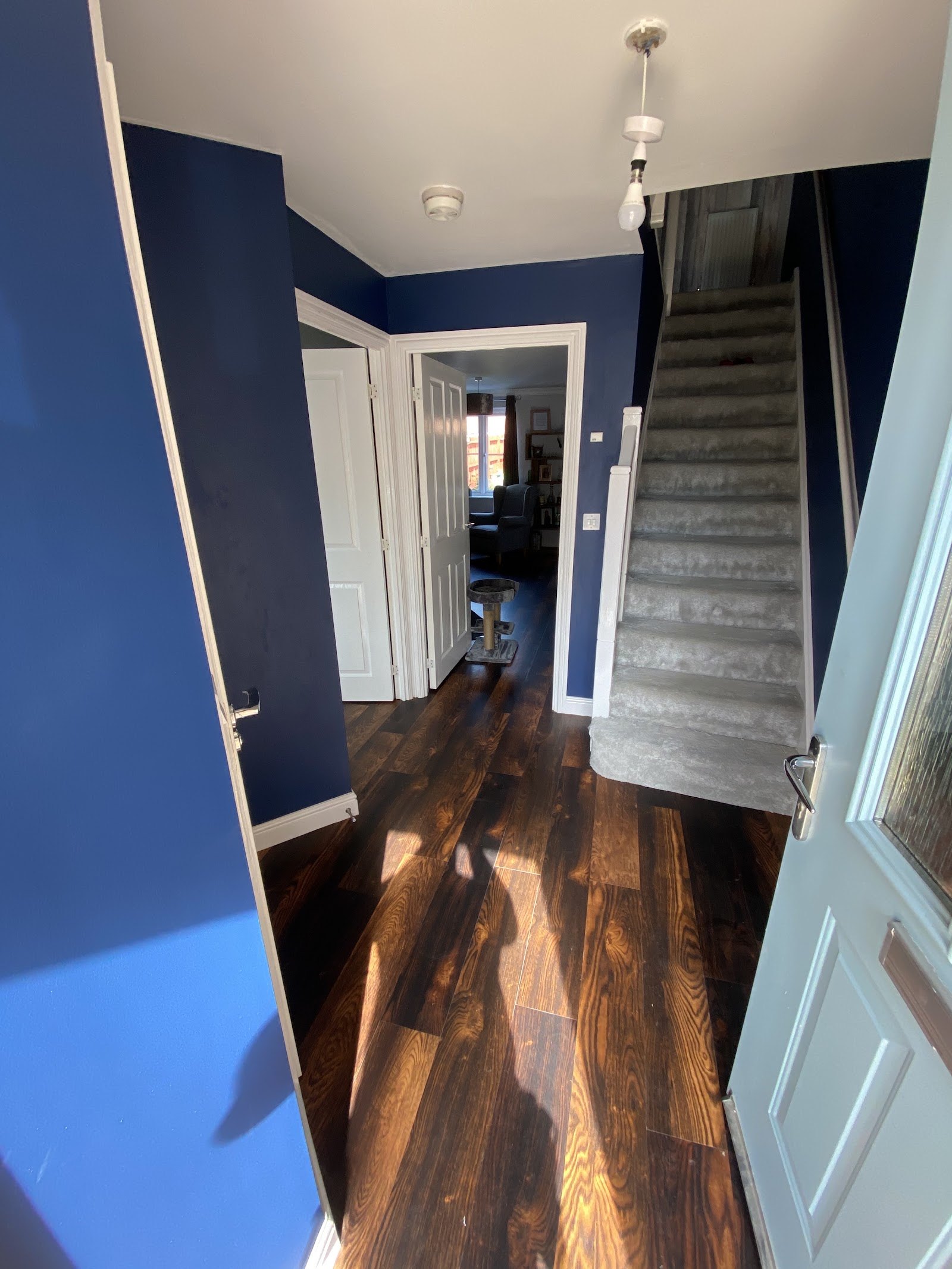 Dark wood-effect floor in a navy hallway leading to the stairs